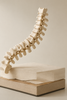 Zzz Atelier Mattresses Formally Endorsed by the Australian Spinal Research Foundation