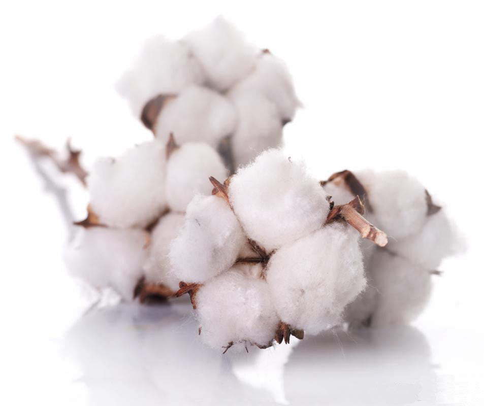Turkish Cotton vs Egyptian Cotton