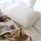 Latex Contoured Pillow