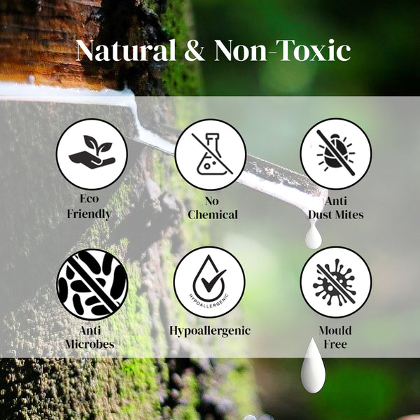 Latex Contoured Pillow