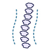 5-ZONE TARGETED SUPPORT