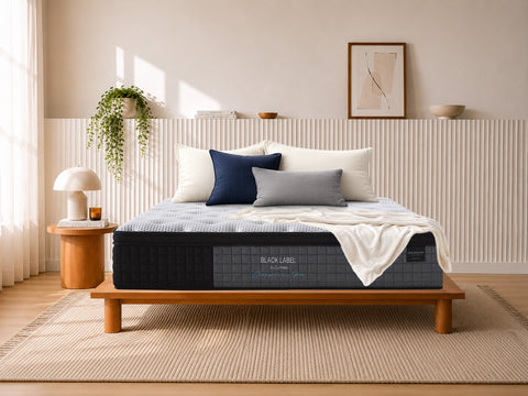 Chiropractic BLACK LABEL Hybrid Mattress