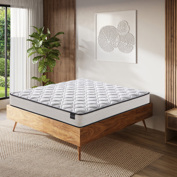 Zzz Assured Firm Mattress