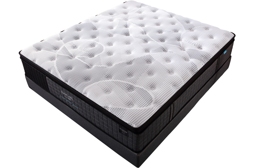 Mattress Chiropractic Black Label Zzz Atelier