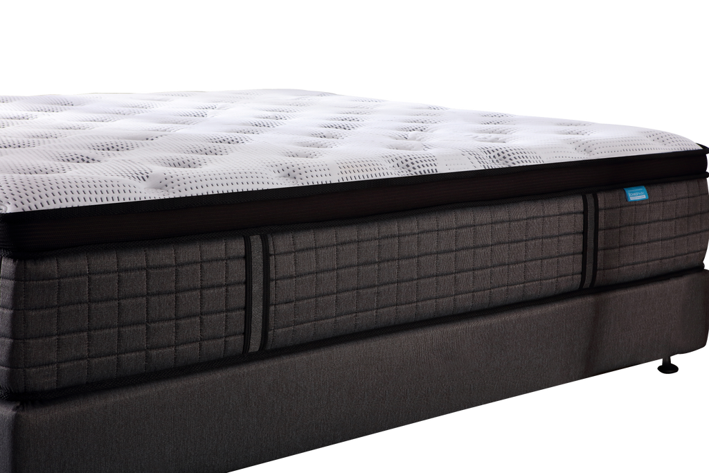 Mattress Chiropractic Black Label Zzz Atelier